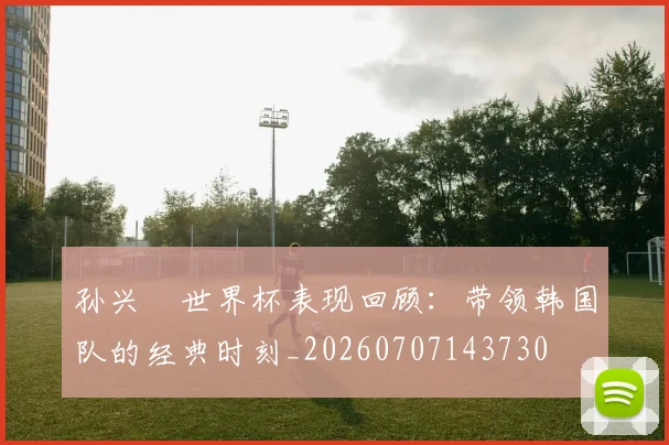 孙兴慜世界杯表现回顾：带领韩国队的经典时刻_20260707143730