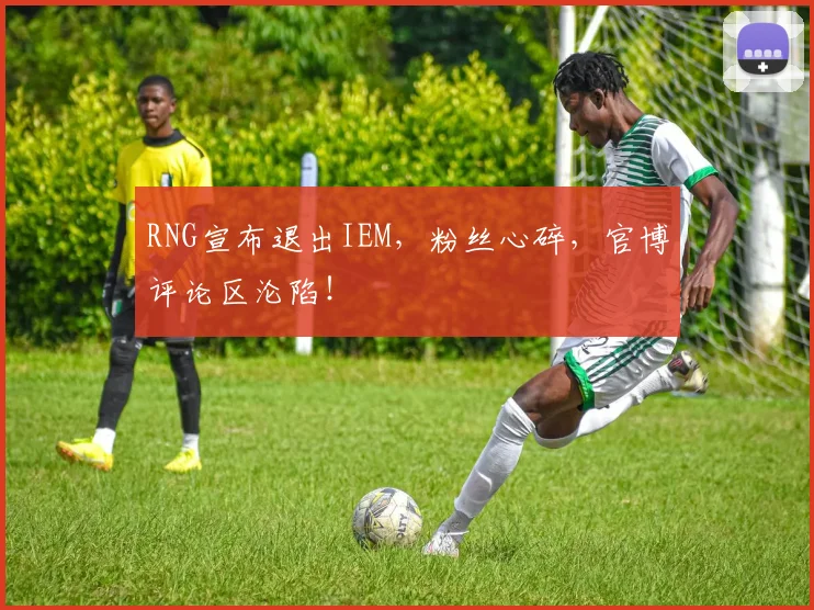 RNG宣布退出IEM,粉丝心碎,官博评论区沦陷!